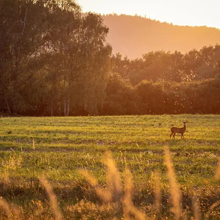 Bella By Interhome * Cerovlje