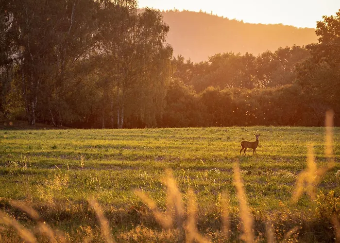 Bella By Interhome * Cerovlje