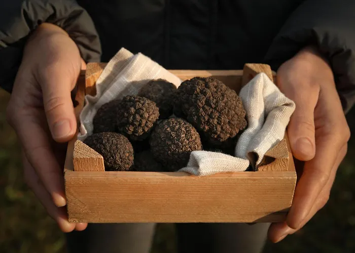 Bella By Interhome Semesterbostad